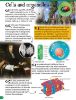 Picture of 500 FANTASTIC FACTS-BIOLOGY