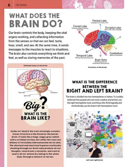 Learning is Fun. ULTIMATE QUESTIONS & ANSWERS-HUMAN BODY